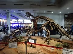 -自贡恐龙博物馆