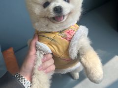 -半秋山西餐厅(巴南万达广场店)