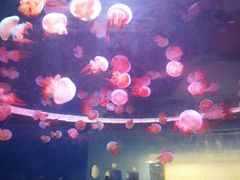 -多彩贵州城极地海洋世界