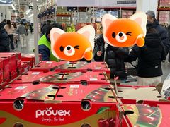 -山姆会员商店(亦庄创意生活广场店)