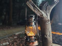 -南宁良凤江国家森林公园