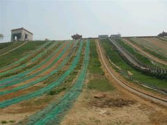 -南戴河国际娱乐中心