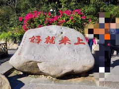 -枣子树·素食餐厅(普陀山店)