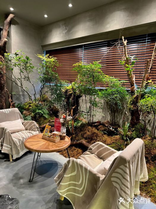森SPA·泰式按摩·精油Massage(宝安中心店)图片
