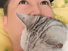 -上海贝贝佳幼儿园