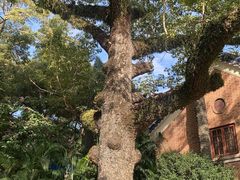 -广州中山纪念堂