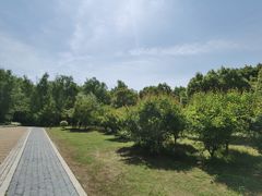 -同里国家湿地公园