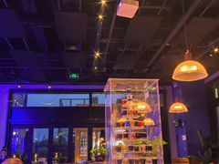 -blue frog蓝蛙(长泰广场店)