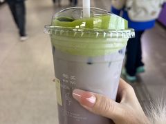 -鹤茶野所(上海首店)