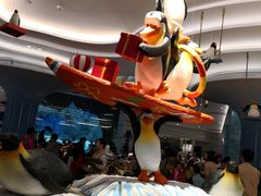 -帝企鹅自助餐厅•儿童岛•真企鹅(长隆企鹅酒店)