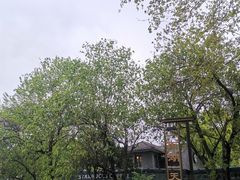 -西湖天地