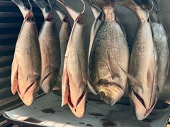 -南风(淮海街店)