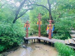 -大青沟风景区