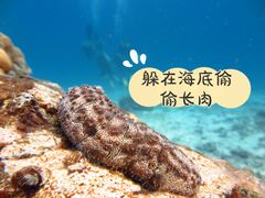 -班拉雅潜水度假村