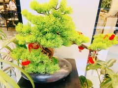 -芒嘎拉古茶馆(陆羽茶都店)