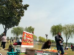 -漕湖湿地公园