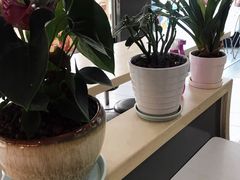 -华莱士·炸鸡汉堡(簇桥镇店)