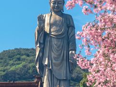 -灵山胜境