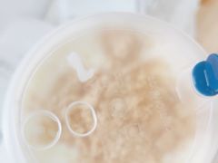-茶百道(五山店)