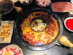 -渝大狮毛肚老火锅(普陀店)