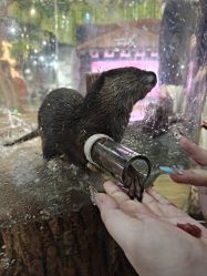 -Zoolung Zoolung动物主题公园(海信广场店)