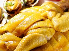-食德喜·阳山鸡王食研基地