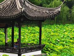 -高子水居