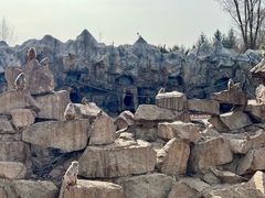 -青藏高原野生动物园