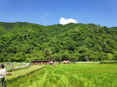 -大水川景区