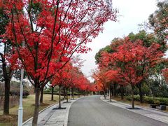 -石湖景区
