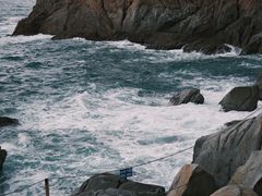 -广东惠东海龟国家级自然保护区