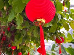 -兴芮温泉度假区