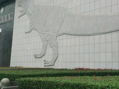 -中国西峡恐龙遗迹园