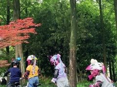-趣动熊运动发展中心(乐坊校区)