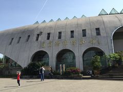 -自贡恐龙博物馆