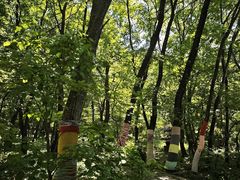 -五女山景区