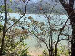 -羚羊峡古栈道森林公园