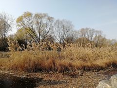 -太阳宫公园