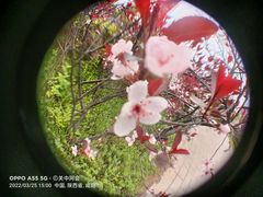 -咸阳湖景区-统一广场