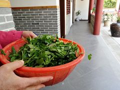 -龙湖东院农庄(乡间小路店)