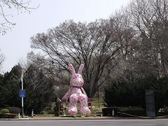 -棒棰岛宾馆景区