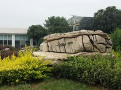 android_upload_pic-中国唐苑