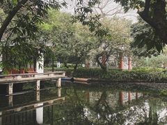 -广州兰圃