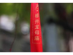 -桂香苑(三云总店)