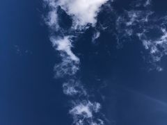 -扁都口生态休闲旅游区
