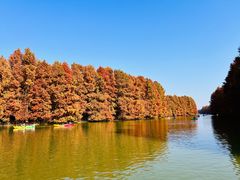 -上海海湾国家森林公园