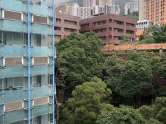 -香港大学