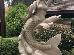 -天目湖涵田半山温泉