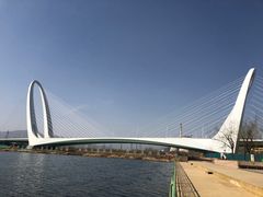 -永定河休闲森林公园