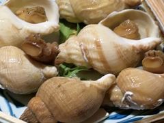 -德川家日本料理(顺义华联店)